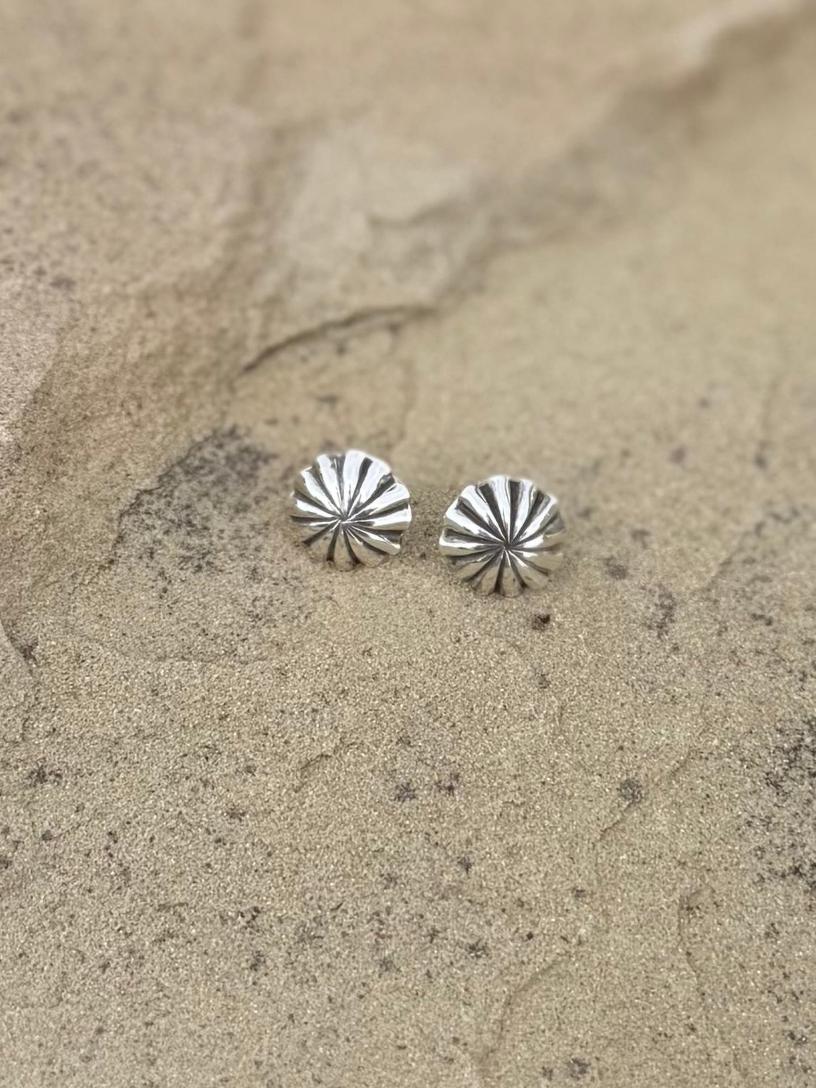 silver stud earring