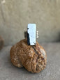 WB adjustable ring, Raymond CORIZ ￼