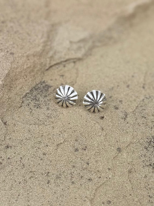silver stud earring