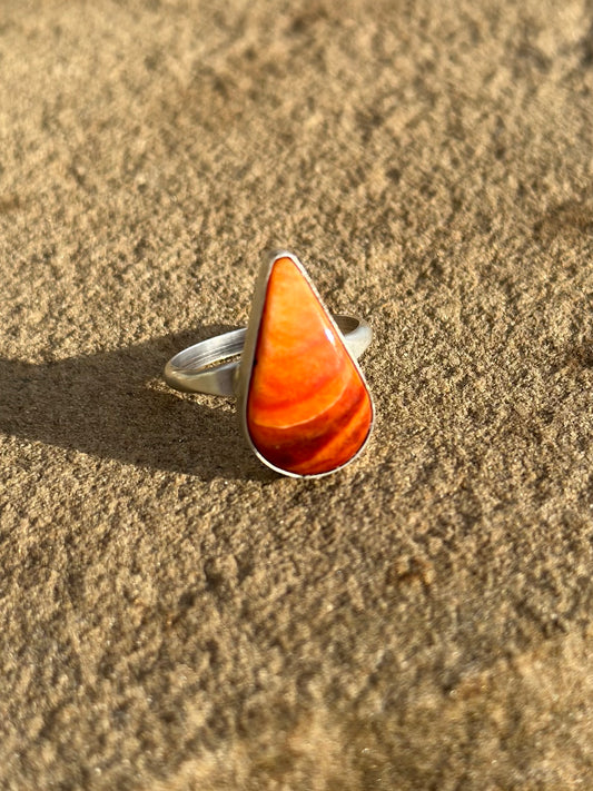 Spiny oyster 7 1/2 ring