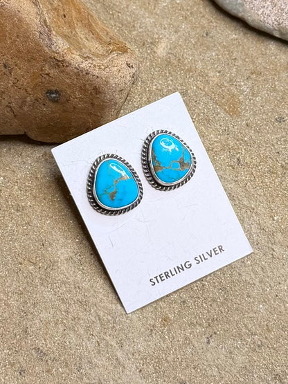 Sonoran stud earring