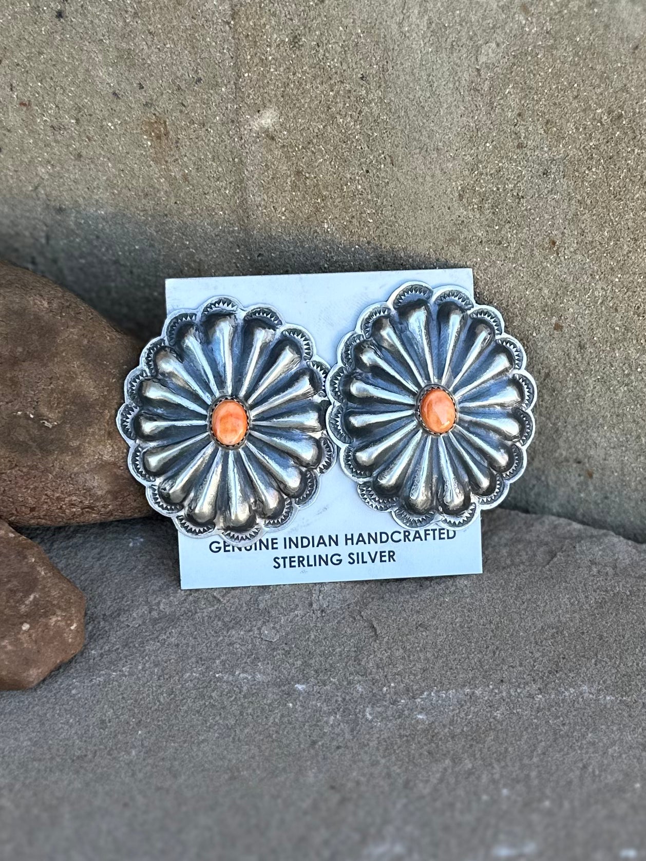 JC spiny conchos