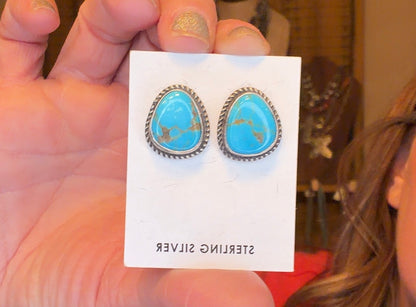 Sonoran stud earring