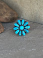 Cluster adjustable ring